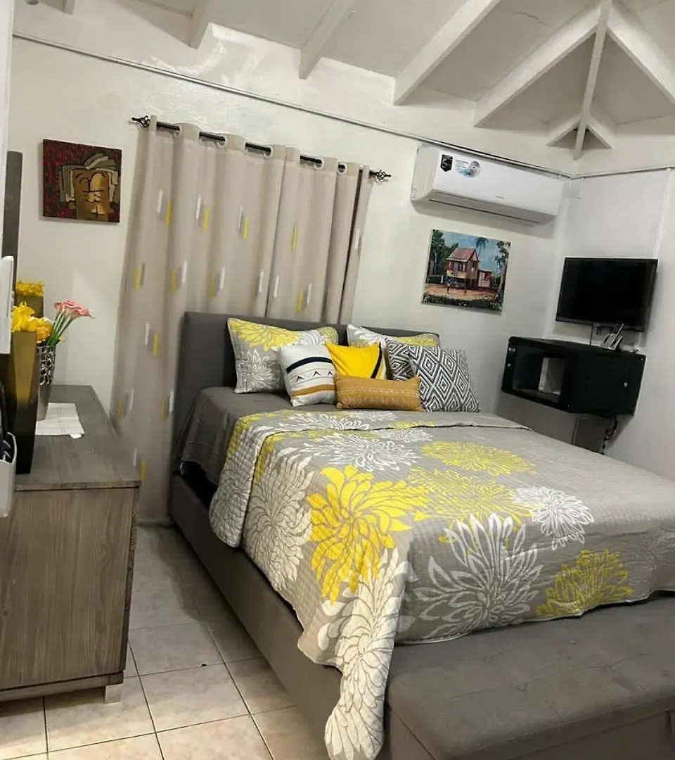 Beautiful Vacation Home Ocho Rios